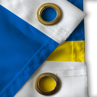 Conception personnalisable imperméable en polyester durable de l'usine de drapeau professionnel 90X150CM drapeau ukrainien Pennant-Ready Ship Ukraine