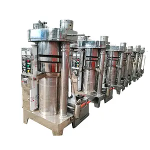 Электрическая пресс-машина для Производства арахисового кунжутного масла, пресс для оливкового масла