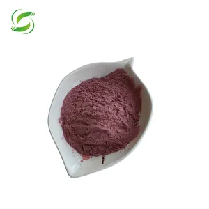 Natural Antioxidant Anthocyanin Blackberry Extract Powder