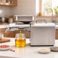 Mini presse à huile domestique pour la cuisine, extracteur à froid et à chaud, haute productivité, pour arachides, graines de tournesol, noix, DIY
