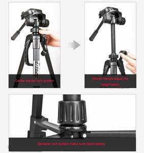 Trípode Weifeng Wt-<span class=keywords><strong>3560</strong></span> de Alta Calidad con Rotación de 360 Grados, Nuevo Diseño de Cabezal Inclinable, Trípode Ligero de Mano - Product Image 2