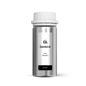 Großhandel neue 100 ml Aluminiumflasche Hotel-Aromatherapie-Maschine Aromatherapieöl wasserloses Aromatherapieöl