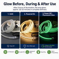 Bande lumineuse LED phosphorescente pour éclairage d'urgence, visibilité et sécurité, 230V, en PVC fluorescent haute tension