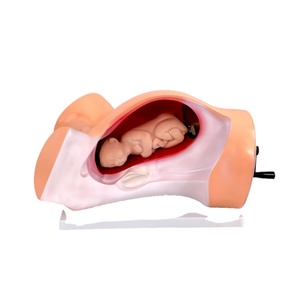 Simulateur d'accouchement mécanique avec accouchement en rotation-Modèle de formation obstétrique avancée pour l'éducation des sages-femmes - Product Image 4