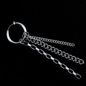 TikTok <b>Earrings</b> Pendant <b>Earrings</b> Titanium Steel Tassel Unisex Fashion Jewelry - Product Image 4