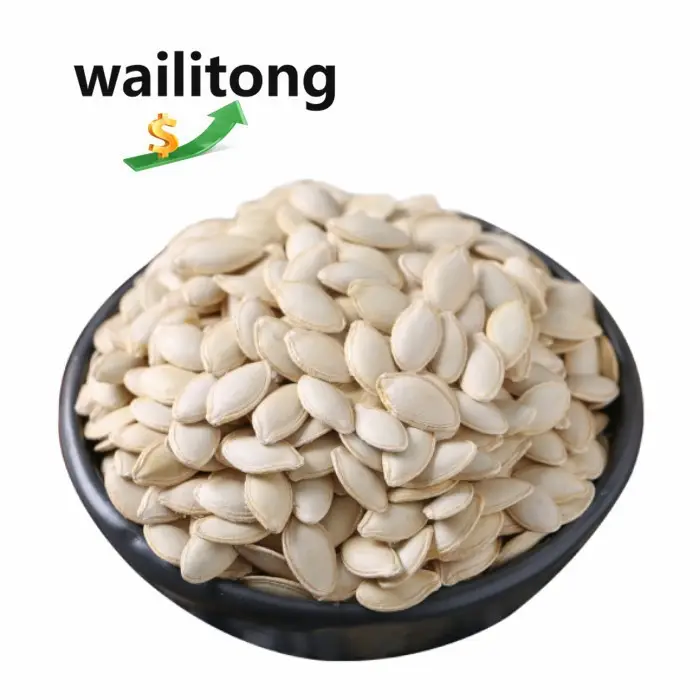 Dried Pumpkin Seed Snow White And Size 5.0-13 mm Shine Skin Pumpkin Seed In Shell shine skin fresh pumpkin seeds kernel