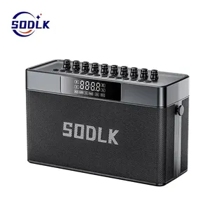 Baz profesyonel kutu açık gitar Sodlk S1127 tüm dijital düşük güç amplifikatörü Subwoofer hoparlör