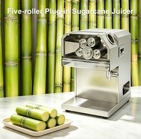 Welldone Commerciële Elektrische Fruit- & Noten-Suikerriet Sapcentrifuge Hoge Productiviteit 220V ISO CE Gecertificeerd 1 Jaar Garantie