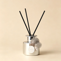 Diffuseur de parfum sans flamme en verre avec plume argentée, sans alcool, 120 ml, parfum longue durée, rafraîchisseur d'air pour la maison