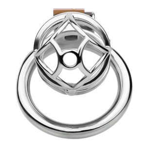 FRRK-11 Dispositivo de Entrenamiento Anti-Escape para Pene Masculino, Jaula Hueca de Acero para Pene con Múltiples Anillos, Jaula de Bloqueo para Pene Grande, Juguete Sexual Erótico - Product Image 4