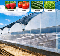 Kit complet de serre hydroponique pour fraises en seau hollandais - Meilleures ventes