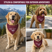 Bandana personnalisé de luxe en polyester pour chien et chat, design mignon, caractéristique réglable et motif d'impression