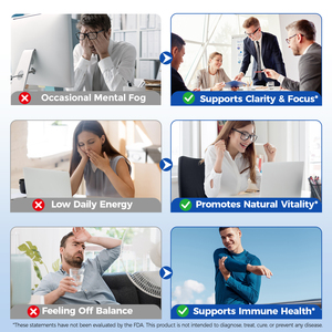 OneBtanicl, venta al por mayor, suplemento de hierbas, cápsulas de azul de metileno de grado USP para mejorar el enfoque de la memoria de soporte cognitivo energético - Product Image 4