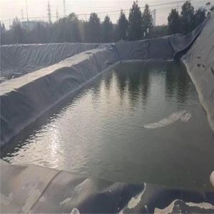 Hdpe ldpe 1 מ "מ 1.5 מ" מ 2 מ "מ לסכר בריכת דגים שרימפס מטמנה ביודיגר geomembrane מודרני - Product Image 3