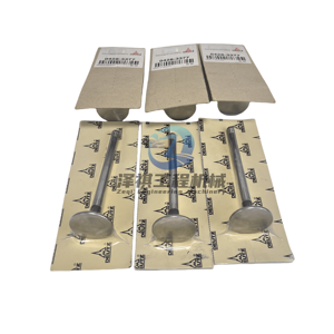 Genuino per Volvo per Deutz Diesel Rebuild Parts Kit valvola a pistone D5E D5D D6E D7D D7E D8K D13 riparazione escavatore - Product Image 5