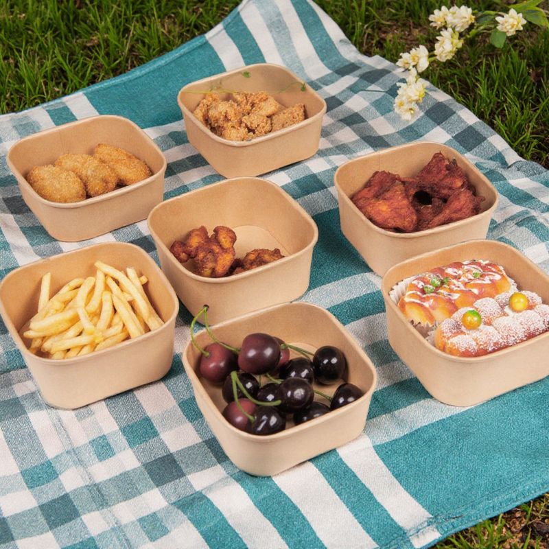 Custom Disposable Biodegradable Brown Kraft Paper