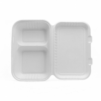 Boîte de canne à sucre à clapet jetable compostable au micro-ondes Conteneur alimentaire de ligne aérienne