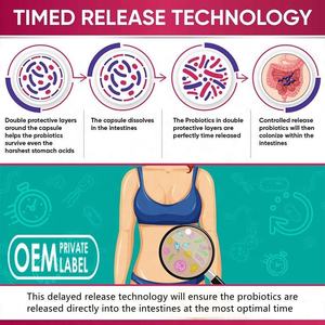 Probióticos orgánicos para mujeres, 50 mil millones de CFU de probióticos para la salud digestiva, suplemento de probióticos prebióticos para la salud intestinal OEM - Product Image 5
