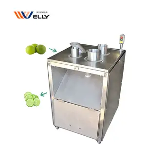 Reliable Performance mushroom licorice root slice cutting banana wafer slicing machine for export