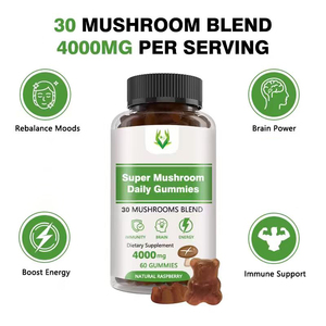 Gummies aux champignons multiples sous marque privée – Complément Herbal Lion's Mane pour adultes : Énergie et Mémoire Accrues - Product Image 6