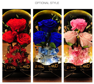 Rose éternelle sous dôme de verre comme la belle et la bête, fleur romantique, cadeau d'anniversaire, mariage, de qualité supérieure, D050864 - Product Image 3