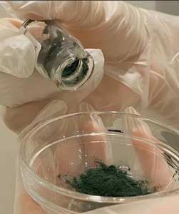 Kit Naturale <span class=keywords><strong>Bio</strong></span> per Peeling Viso con Polvere di Alghe 99% Pura, Terapia Anti-Acne con Microaghi, Peeling Naturale Senza Acidi Chimici - Product Image 3