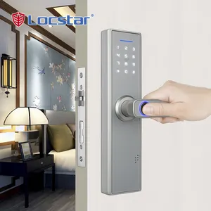 Smart Door Finger Print Lock Rfid Electronic Waterproof Biometric Anti Theft Outdoor Tuya Smart /ttlock 35mm-60mm Fashionable