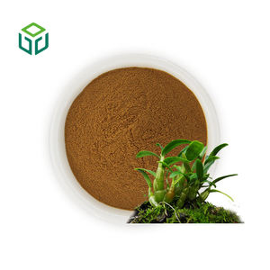 최고 가격 고순도 덴드로비움 오피시날레 추출물 분말 덴드로비움 다당류 - Product Image 1