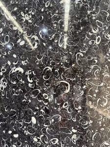 Đá vôi Đen fossi - Product Image 2