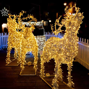 Décoration commerciale extérieure personnalisée Lumière de Noël à motifs 3D Lumière de décoration de centre commercial de rue - Product Image 6