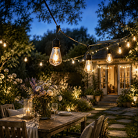 Guirnalda de Luces LED ST64 para Exteriores, con Bombillas Edison, Resistentes al Agua, Alimentación CA, Conectables, para Patio, Jardín, Cafetería, Parque Temático, 10 Metros