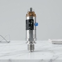 Sensor de Presión Endress Hauser Cerabar PMP21 de 4-20 mA con Rosca de 1/4, Transmisor de Presión EH Cerabar PMP21 para Gases y Líquidos IP66