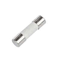 Fusible Cerámico de Acción Rápida, Alta Capacidad de Ruptura, 250/500V 0.5-32A, Fusibles de Tubo de Buena Calidad