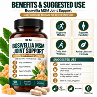 Capsules de Boswellia MSM, Formule Botanique au Soufre pour les Articulations, pour l'Âge Actif, Marques en Marque Blanche, Fabricant de Suppléments d'Encens