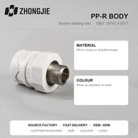 Raccord mâle PPR 20mm à 75mm (1/2 à 5/2 pouces BSP) PN25 avec insert en laiton, adaptateur hexagonal pour tuyaux d'eau chaude et froide