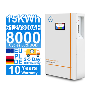 Thông minh <span class=keywords><strong>LCD</strong></span> 15kwh powerwall pin lithium 51.2V 280ah 100Ah treo tường nhà 48V 5kwh năng lượng mặt trời lưu trữ năng lượng LiFePO4 Pin - Product Image 1