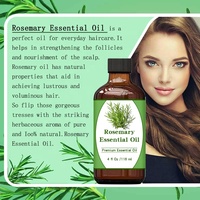Certificat biologique USDA NOP et certificat halal Un gallon d'huile de romarin et de menthe Huile essentielle de romarin non diluée Aromathérapie