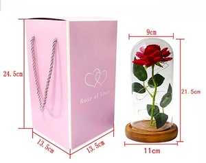 <span class=keywords><strong>Rosa</strong></span> Eterna Artificial con Luz LED, <span class=keywords><strong>La</strong></span> <span class=keywords><strong>Bella</strong></span> <span class=keywords><strong>y</strong></span> <span class=keywords><strong>la</strong></span> <span class=keywords><strong>Bestia</strong></span> en Cúpula <span class=keywords><strong>de</strong></span> Cristal, Decoración Navideña para el Hogar, Regalo para el Día <span class=keywords><strong>de</strong></span> <span class=keywords><strong>la</strong></span> Madre, San Valentín, Año Nuevo - Product Image 6