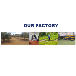 Semillas de Sésamo Frescas Naturales Puras de Primera Calidad, Tamaño 14-32, Listas para Comer, Tanzania, Almacenamiento Seco y Refrigerado - Product Image 6