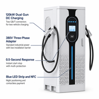 Borne de recharge rapide DC pour véhicules électriques 120 kW à double borne CCS2 OCPP 1.6 CE