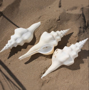 HLESATAAND T SELMEETIIVRRIFFRRROM M IE - Product Image 3