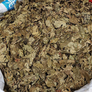 Trà Bà Bầu Hữu Cơ Khô Tự Nhiên Chất Lượng Cao Trà Thảo Dược Lá Mâm Xôi Đỏ - Product Image 5