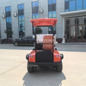 Carrito de Golf Eléctrico de 2 Plazas, con Batería de Litio, de Baja Velocidad, para Clubes y Zonas Turísticas - Product Image 4