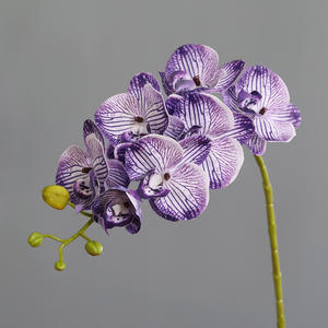 H-587 anggrek ungu lateks grosir 7 kepala bunga anggrek putih anggrek <span class=keywords><strong>Phalaenopsis</strong></span> sentuhan nyata anggrek - Product Image 6