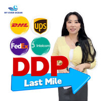 Tasas de entrega Ever Ocean Agentes de mensajería Ddp Ddu/Ddp Lcl Ddu Envío de carga aérea Logística Servicio expreso a EE. UU. Envío Canadá