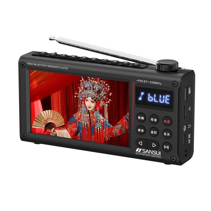 SANSUI F69 Portable Bluetooth FM Radio & Video Player with Dual