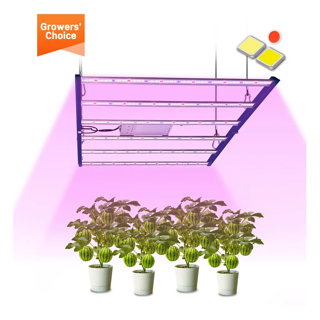 Baiyi Lighting 820W LED Grow Light For Plant Indoor Growth For Veg Led Grow Light For Green House