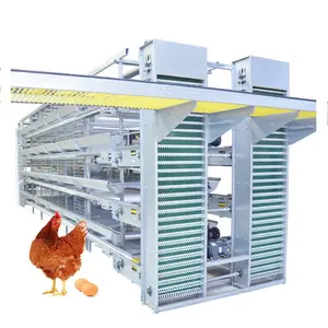 Hot Dip Desain Rumah Telur Komersial Galvanis Baterai Kandang Ayam Lapisan Kandang untuk Dijual