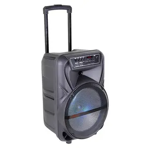 T Portable Party Karaoke Home Karaoke New Arrival 12 Inch Wireless Bluetooth Function DJ Box Audio Trolley Speaker