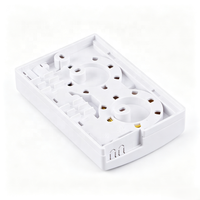 Boîtier de terminaison fibre optique mural intérieur 2 cœurs FTTH Mini NAP avec adaptateur SC Duplex pour réseau FTTR